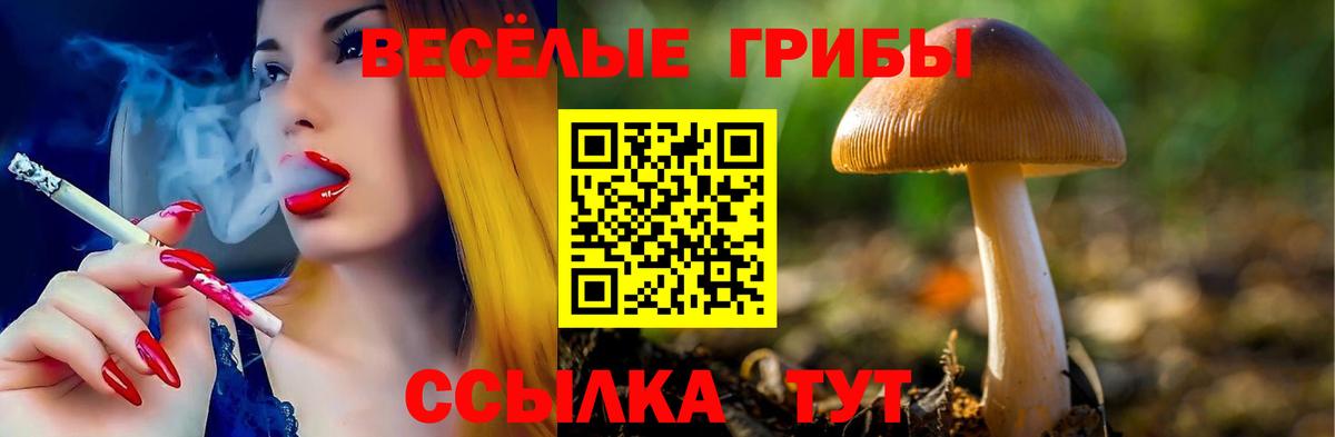 Псилоцибиновые грибы ЛСД Черногорск